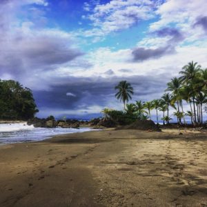 Oceano Pacifico e giungla tropicale, Chocó