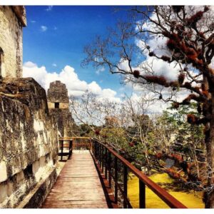 Cosa vedere in Guatemala: il parco nazionale di Tikal